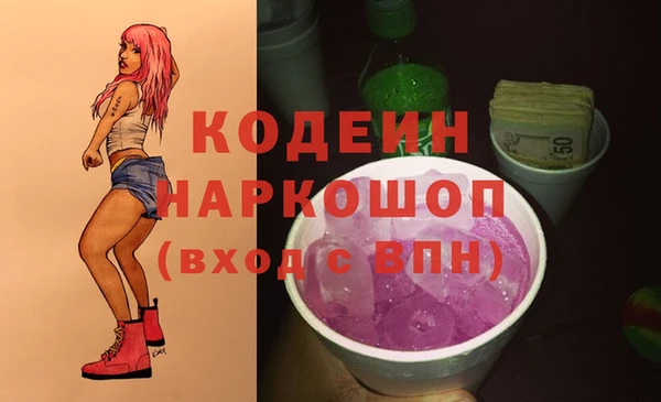 ГАЛЛЮЦИНОГЕННЫЕ ГРИБЫ Арсеньев