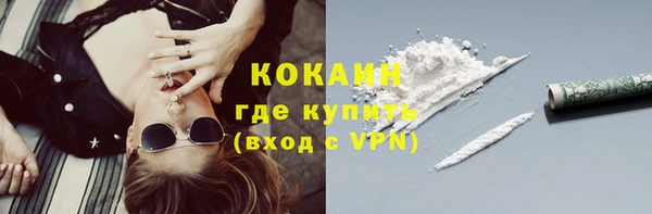 ГАЛЛЮЦИНОГЕННЫЕ ГРИБЫ Арсеньев