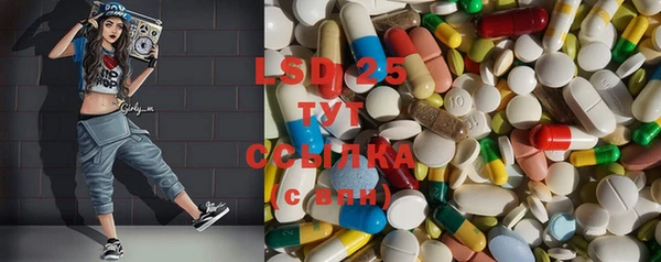 ГАЛЛЮЦИНОГЕННЫЕ ГРИБЫ Арсеньев