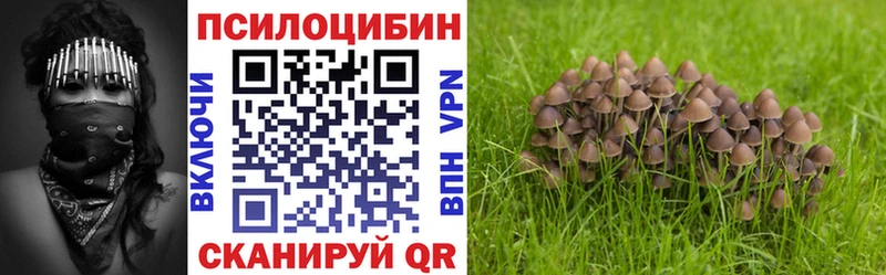 Псилоцибиновые грибы GOLDEN TEACHER  купить наркотик  Бокситогорск 